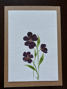 Canadian Artist - Original #8850