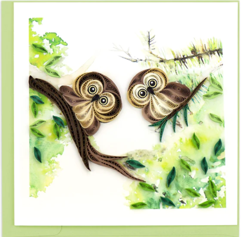 Birds - Blank - Owlets - Quilling Art