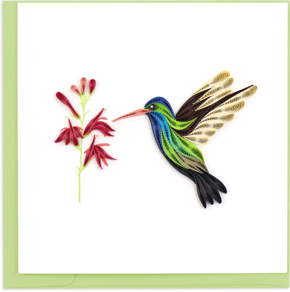 Birds - Blank - Broad Billed Hummingbird - Quilling Art
