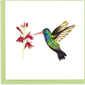 Birds - Blank - Broad Billed Hummingbird - Quilling Art